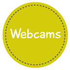 Webcams